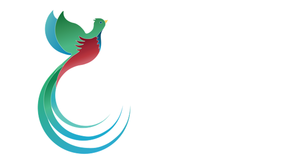 Hasta La Vista